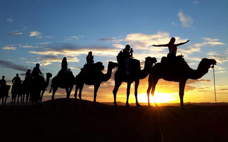 Excursión compartida de 2 días al desierto de Zagora desde Marrakech