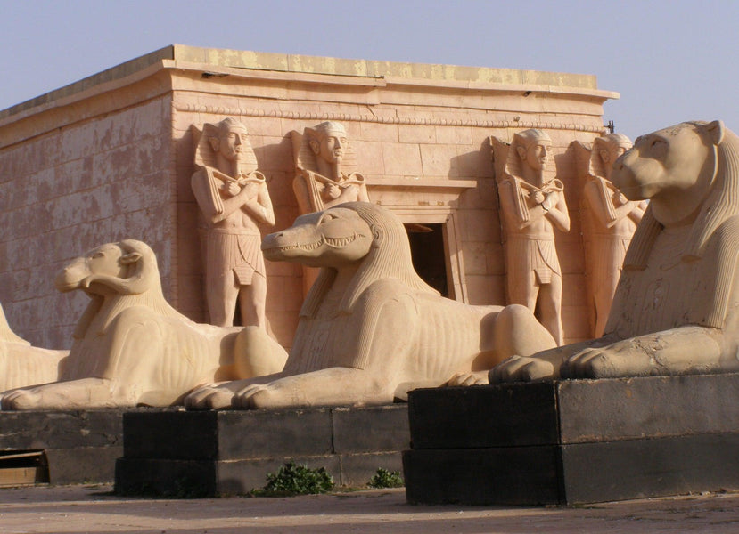 Excursión 1 día desde Marrakech a Ouarzazate y Ait Benhaddou