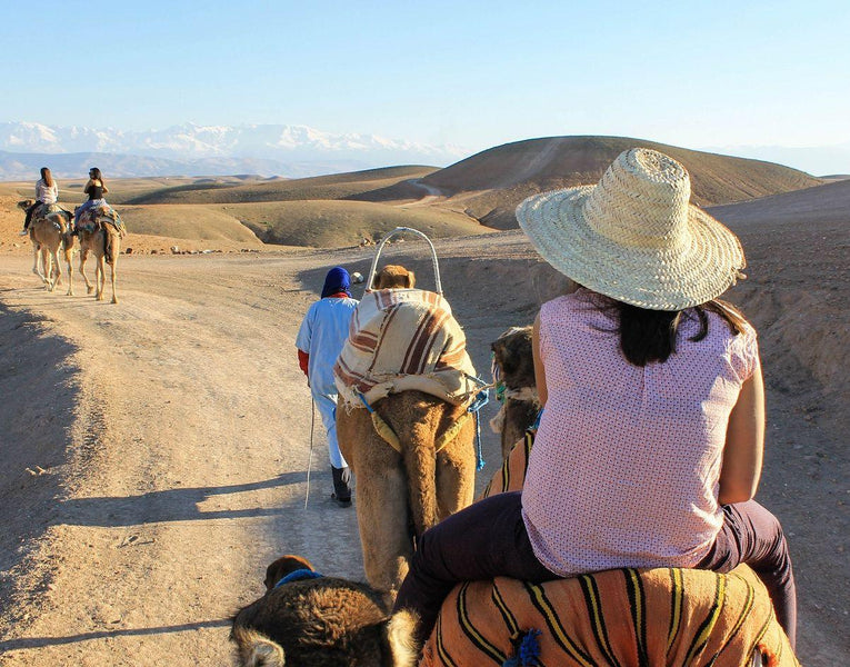 Sunset Camel Ride in Agafay Desert from Marrakech - Saharies