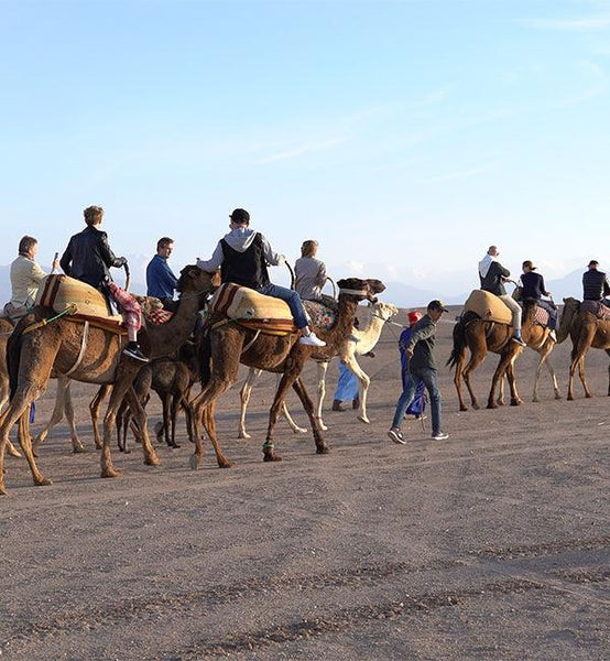 Agafay Desert Experience with Lunch at the Luxury Camp - Saharies
