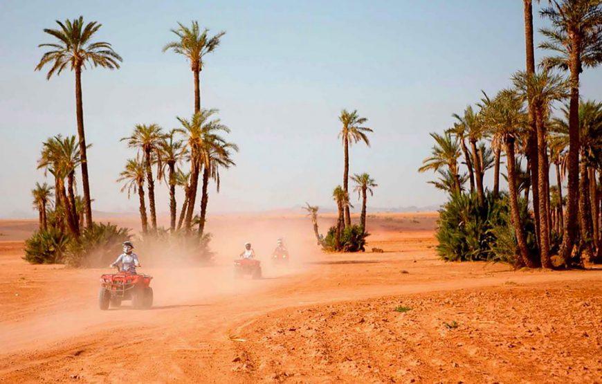 Quad por el palmeral de Marrakech