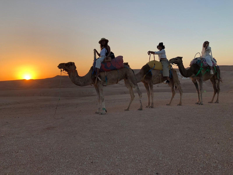 Sunset Camel Ride in Agafay Desert from Marrakech - Saharies