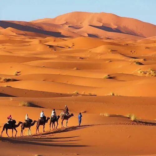 Marrakech to Erg Chigaga 4 days desert tour