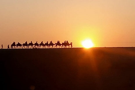 Agafay Desert Dinner and Camel Ride